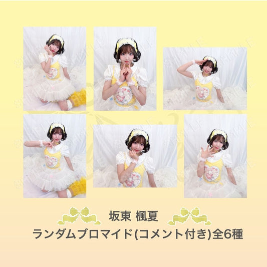 ⋆ ࣪ ˖ ランダムブロマイド ˖ ࣪⭑：ひなふうらんど衣装（コメント付き）